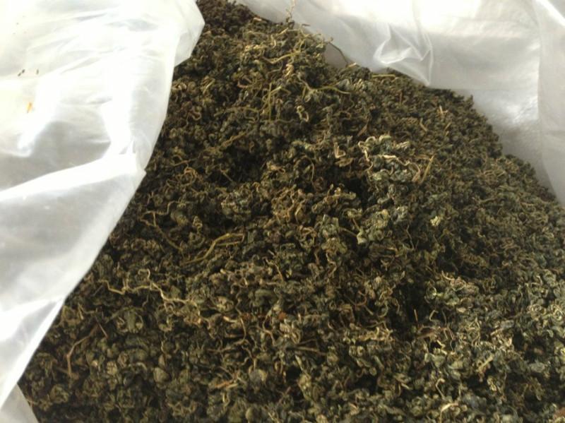 供應(yīng)優(yōu)質(zhì)*無(wú)公害絞股藍(lán)茶供應(yīng)，優(yōu)質(zhì)*無(wú)公害絞股藍(lán)供應(yīng)商