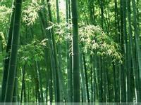 供應(yīng)筍干多少錢一斤,筍干,筍干的功效,筍干供應(yīng)商,筍干供應(yīng)商電話