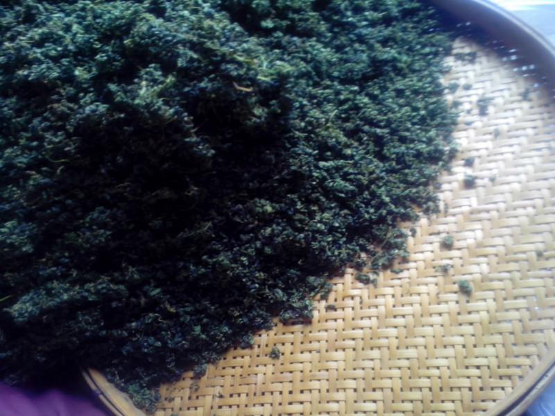 供應七葉參絞股藍泡水喝的功效