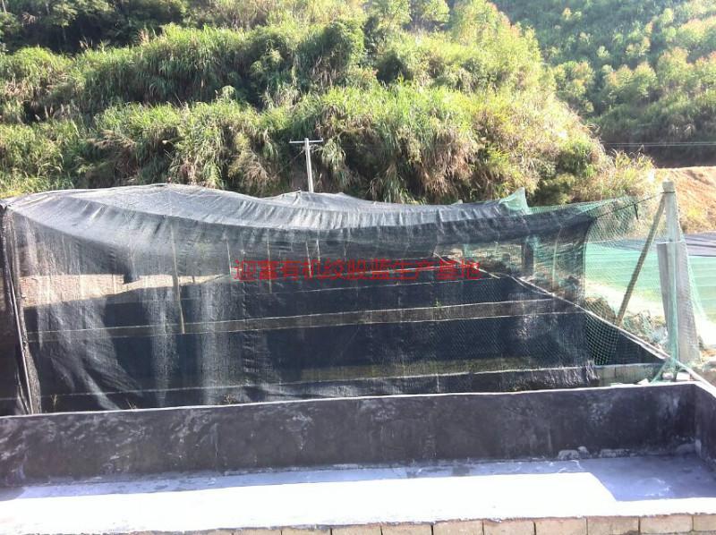 迎富原生態(tài)石蛙供應，迎富原生態(tài)石蛙供應商，迎富原生態(tài)石蛙供應商電話