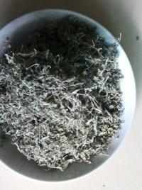 供應(yīng)嫩芽藤茶廠家供應(yīng)，嫩芽藤茶廠家供應(yīng)價格，嫩芽藤茶廠家供應(yīng)商