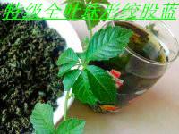 高品質(zhì)絞股藍(lán)產(chǎn)地批發(fā)一斤多少錢圖片