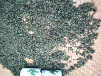 供應(yīng)廈門無公害絞股藍(lán)廠家供應(yīng)，廈門無公害絞股藍(lán)供應(yīng)廠家批發(fā)