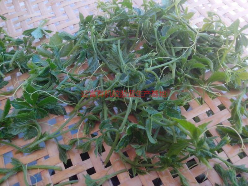 富硒絞股藍茶的功效與作用圖片