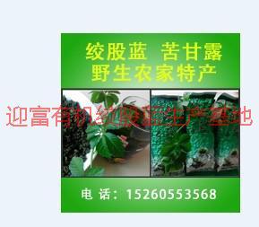 供應(yīng)優(yōu)質(zhì)七葉絞股藍(lán)茶葉廠家供應(yīng),優(yōu)質(zhì)七葉絞股藍(lán)茶葉供應(yīng)廠家,絞股藍(lán)