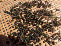 供應(yīng)龍須絞股藍(lán)茶廠家供應(yīng)，龍須絞股藍(lán)茶廠家供應(yīng)價格