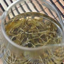 供應(yīng)嫩芽茅巖莓生產(chǎn)供應(yīng)，嫩芽茅巖莓生產(chǎn)供應(yīng)商，嫩芽茅巖莓生產(chǎn)供應(yīng)廠家