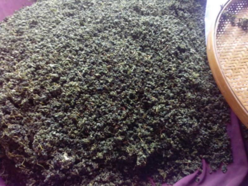 優(yōu)質(zhì)野生無(wú)公害絞股藍(lán)多少錢一斤圖片