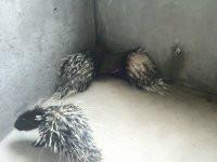 供應(yīng)*廠家直銷，*廠家直銷價(jià)格，*廠家直銷電話