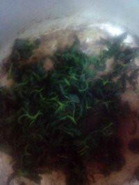 供應(yīng)優(yōu)質(zhì)甘味絞股藍(lán)茶葉批發(fā)，優(yōu)質(zhì)甘味絞股藍(lán)茶葉批發(fā)商