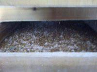 供應(yīng)廈門原生態(tài)石蛙批發(fā)價格，廈門原生態(tài)石蛙供應(yīng)價格