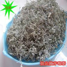 供應(yīng)嫩芽茅巖莓*，嫩芽茅巖莓*產(chǎn)地，嫩芽茅巖莓*廠家