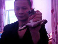 石蛙養(yǎng)殖圖片/石蛙養(yǎng)殖樣板圖 (2)