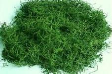 供應(yīng)北京龍須絞股藍(lán)，北京龍須絞股藍(lán)茶，北京龍須絞股藍(lán)茶葉