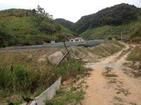 原生態(tài)石蛙廠家供應圖片