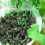 供應無公害絞股藍的功效與作用