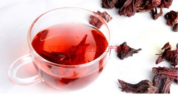 玫瑰茄圖片/玫瑰茄樣板圖 (3)