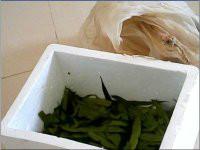 供應(yīng)福建原生態(tài)石蛙養(yǎng)殖基地供應(yīng)種蛙幼蛙