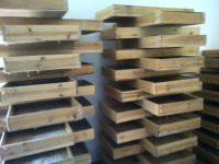 供應(yīng)福建原生態(tài)石蛙養(yǎng)殖廠家批發(fā)價(jià)格一斤多少錢