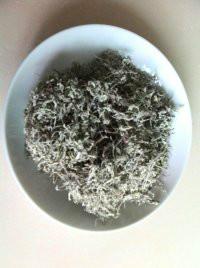 供應(yīng)嫩芽茅巖莓*，嫩芽茅巖莓*產(chǎn)地，嫩芽茅巖莓*廠家