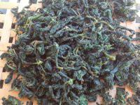 供應(yīng)龍須絞股藍(lán)生產(chǎn)基地，龍須絞股藍(lán)生產(chǎn)基地批發(fā)價(jià)格多少錢一斤