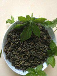 供應無公害絞股藍公司批發(fā)價格