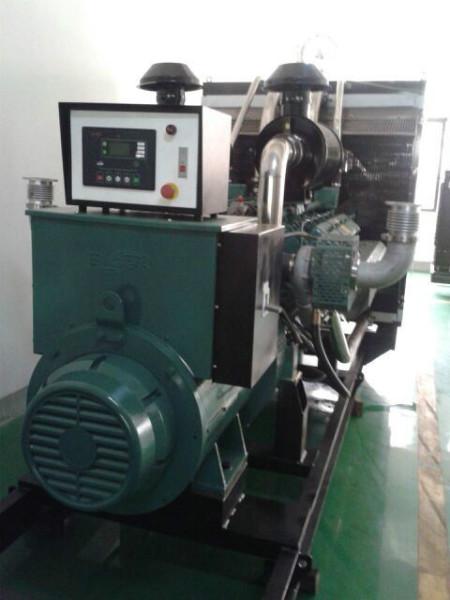 無錫動(dòng)力WD327TAD78型780KW發(fā)電機(jī)圖片/無錫動(dòng)力WD327TAD78型780KW發(fā)電機(jī)樣板圖 (3)