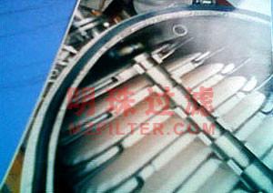 供應(yīng)專業(yè)生產(chǎn)醫(yī)藥用干渣過濾器