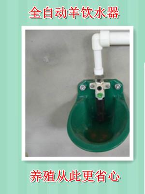 供應(yīng)安徽羊自動(dòng)飲水器、安徽羊飲水碗