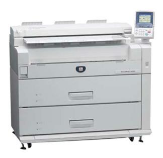 精工LP圖片/精工LP樣板圖 (4)