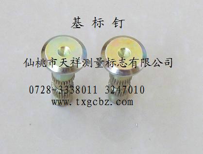 供應(yīng)仙桃天祥CPIII基標(biāo)釘txkz