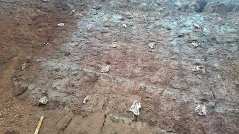 供應凱里都圴錨桿支護施工