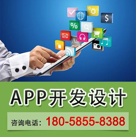 供应宁波app设计，宁波专业开发app应用公司