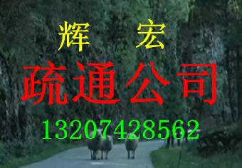 清理化糞池圖片/清理化糞池樣板圖 (4)