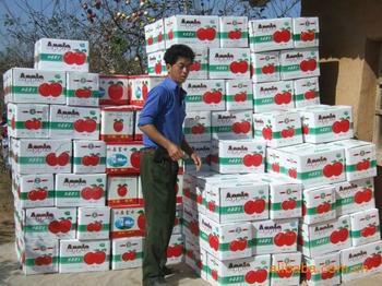 供應(yīng)哪里批發(fā)冷庫蘋果，哪里批發(fā)冷庫紅富士，哪里批發(fā)冷庫紅富士蘋果