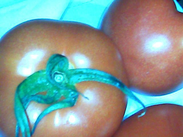 供應(yīng)山東哪里有番茄批發(fā)，山東哪里有番茄批發(fā)，山東番茄銷售市場(chǎng)，