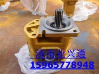 泉城濟(jì)南液壓泵柳工裝載機(jī)齒輪泵轉(zhuǎn)向泵工作泵 柳工裝載機(jī)齒輪泵轉(zhuǎn)向泵