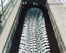 供應(yīng)ZSB型轉(zhuǎn)刷曝氣機