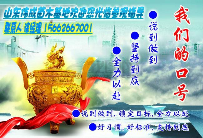 供應(yīng)2013國(guó)槐報(bào)價(jià).國(guó)槐基地.苗木基地