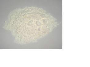 供應(yīng)玉米淀粉批發(fā)商