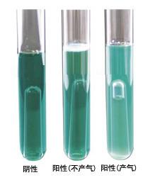 大腸菌群用BGLB肉湯培養(yǎng)基圖片
