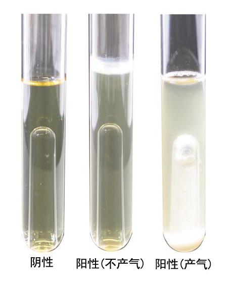 供应大肠菌群用EMB琼脂培养基