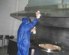 上海上門滅蒼蠅，專業(yè)上門殺蒼蠅防治公司