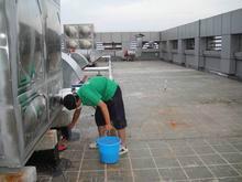 上海上門滅蒼蠅，專業(yè)上門殺蒼蠅防治公司