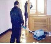 上海上門滅白蟻，專業(yè)除白蟻公司白蟻防治