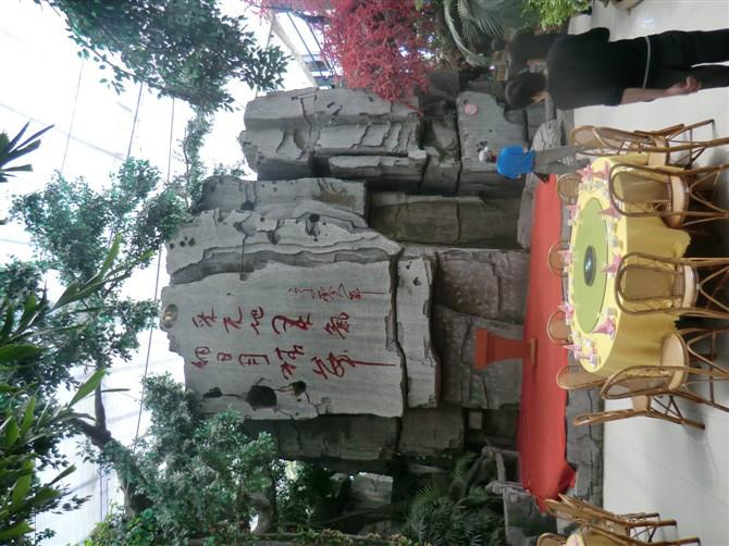 菏澤假山假樹系列圖片