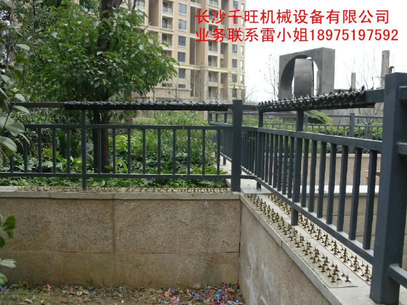 供應(yīng)防盜刺防爬刺千旺防盜刺