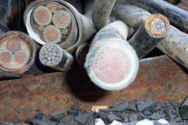 供應(yīng)橫崗回收電纜13632509812