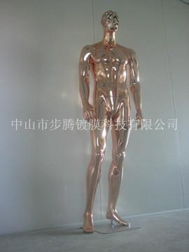 展示運動服男模特圖片