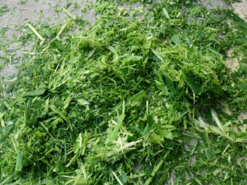 供應(yīng)9Z-2.5A秸稈鍘草機(jī)多少錢一臺(tái)